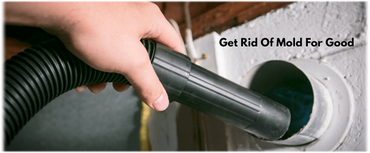 Air Duct Mold Removal in Antioch IL